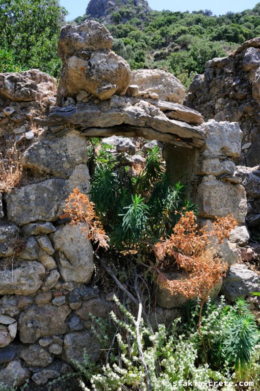 Photo report of a stay in Sfakia and Crete, May 2008